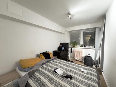 Picture 7